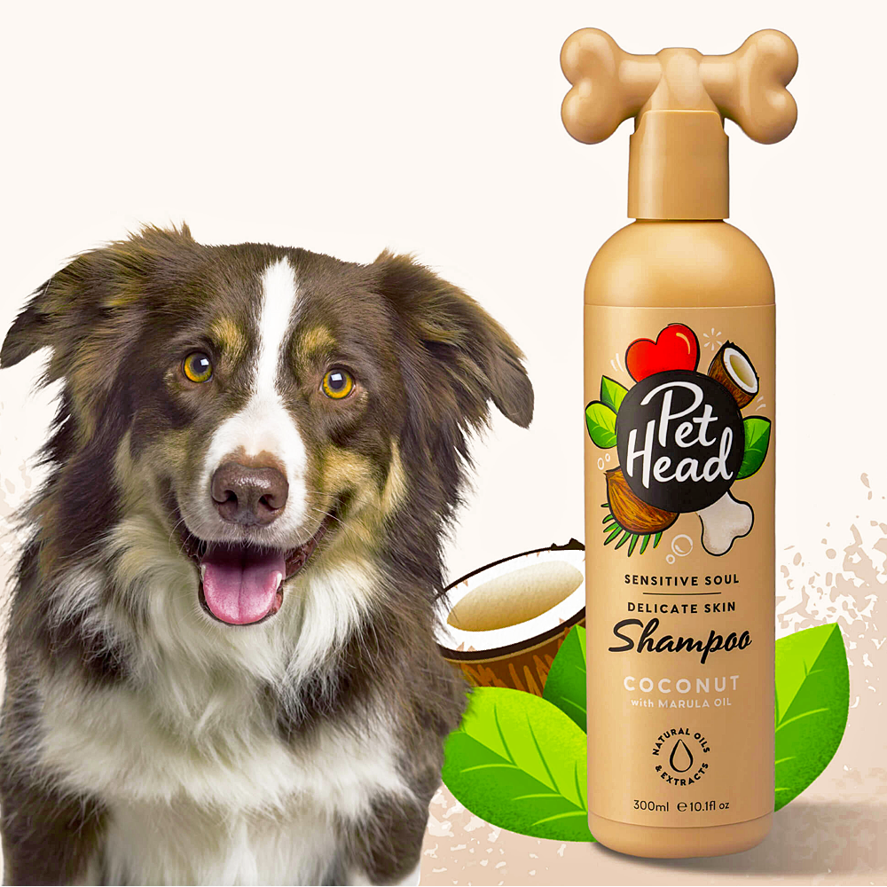 Pet Head Sensitive Soul Shampoo para Peles Sensíveis