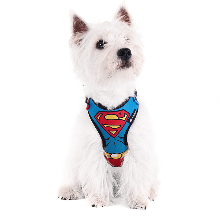 PEITORAL AIR SUPERMAN - SUPERMAN - P