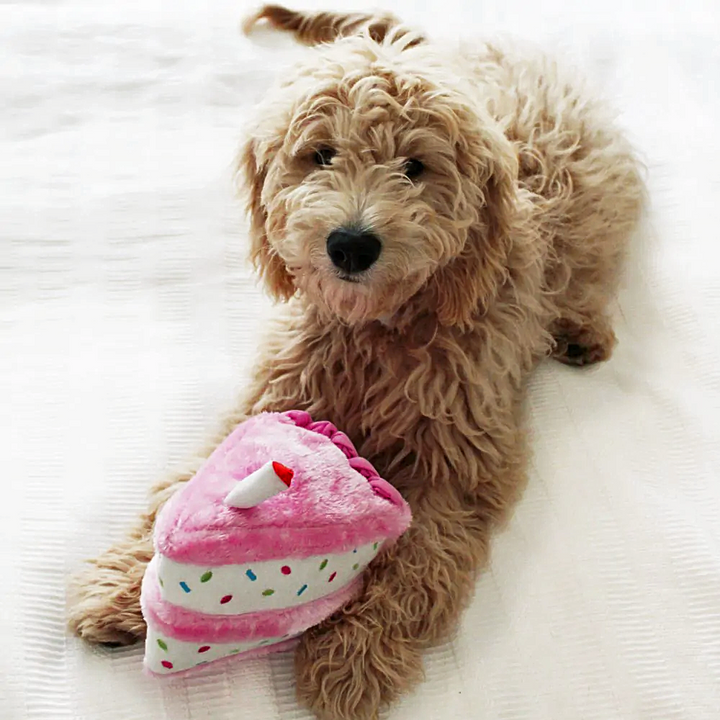 Pelúcia Pup Birthday Box cor Rosa - Zippy Paws