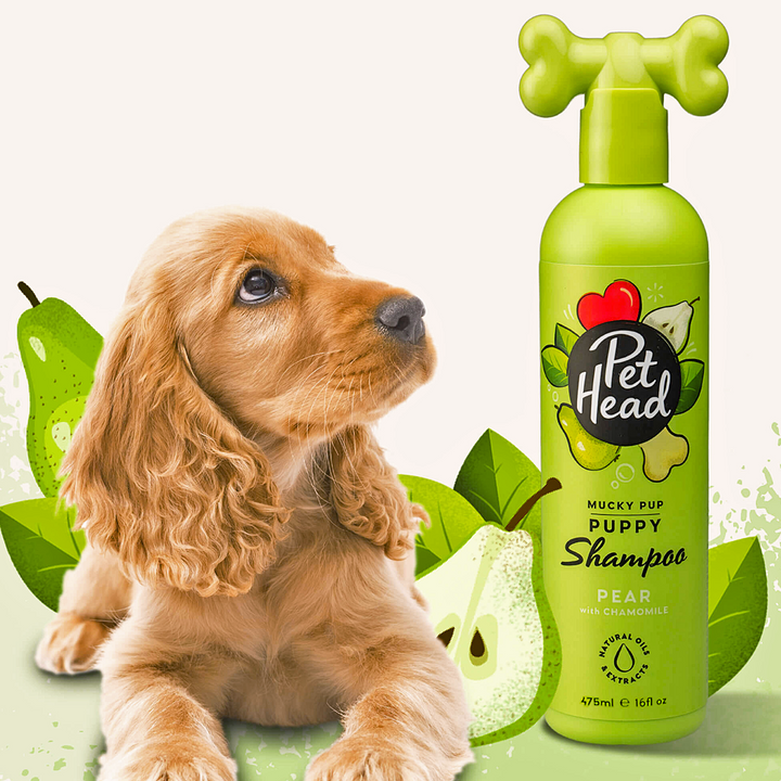 Pet Head Mucky Puppy Shampoo para Filhotes