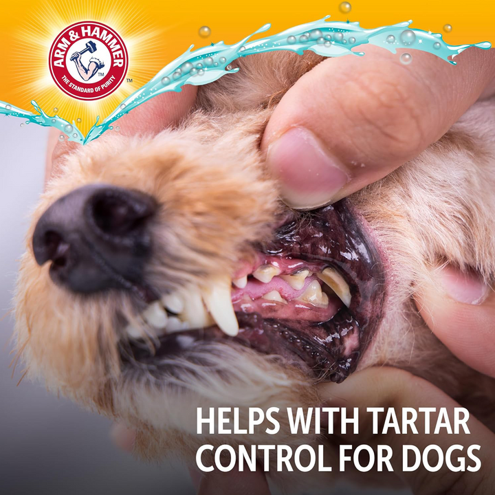 Aditivo Para Água Complete Care Para Cães - ARM & HAMMER