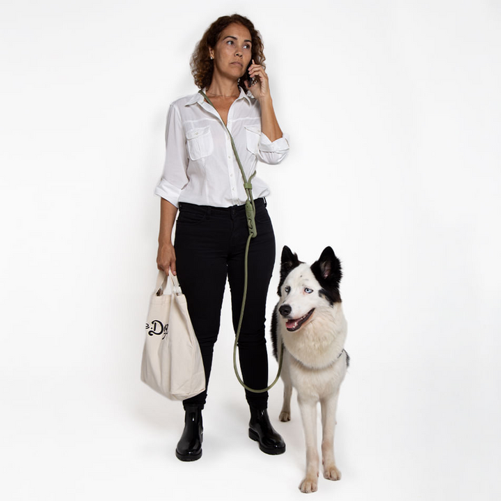 Guia Mãos Livres para Cães Zee Dog Handsfree Leash Army Green