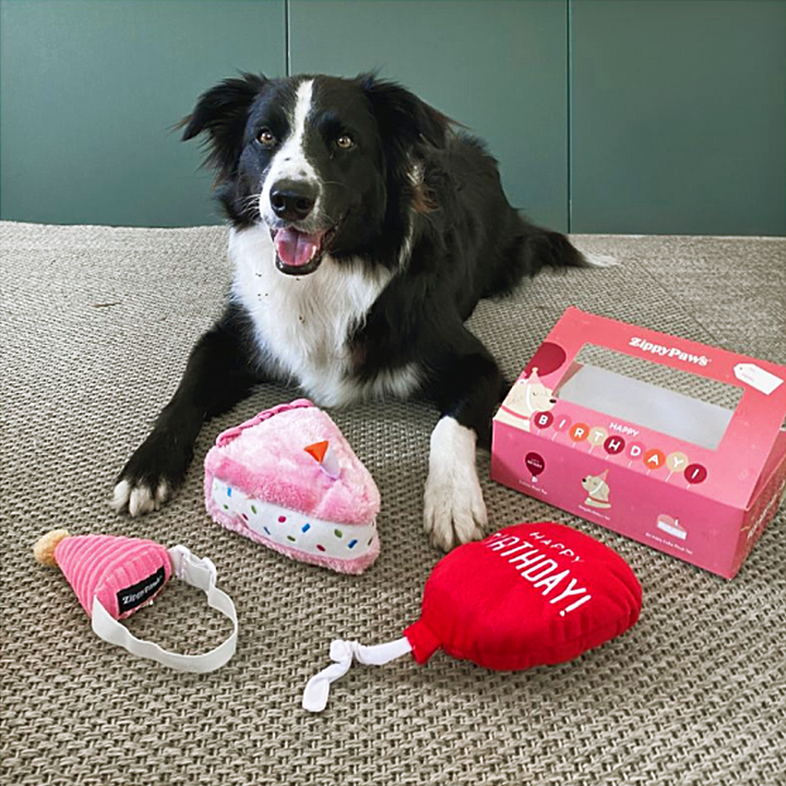 Pelúcia Pup Birthday Box cor Rosa - Zippy Paws