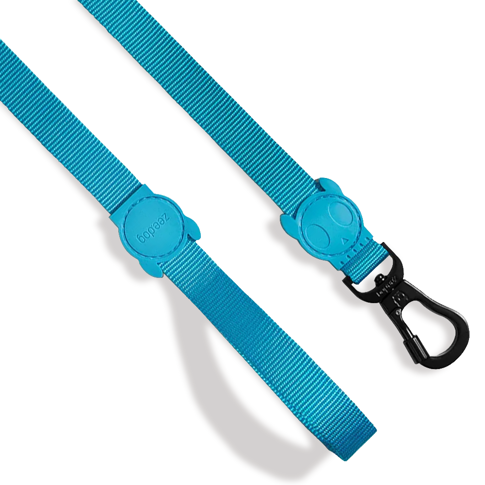 Guia Padrão Zeedog Ultimate Blue Para Cachorros Tam. PP