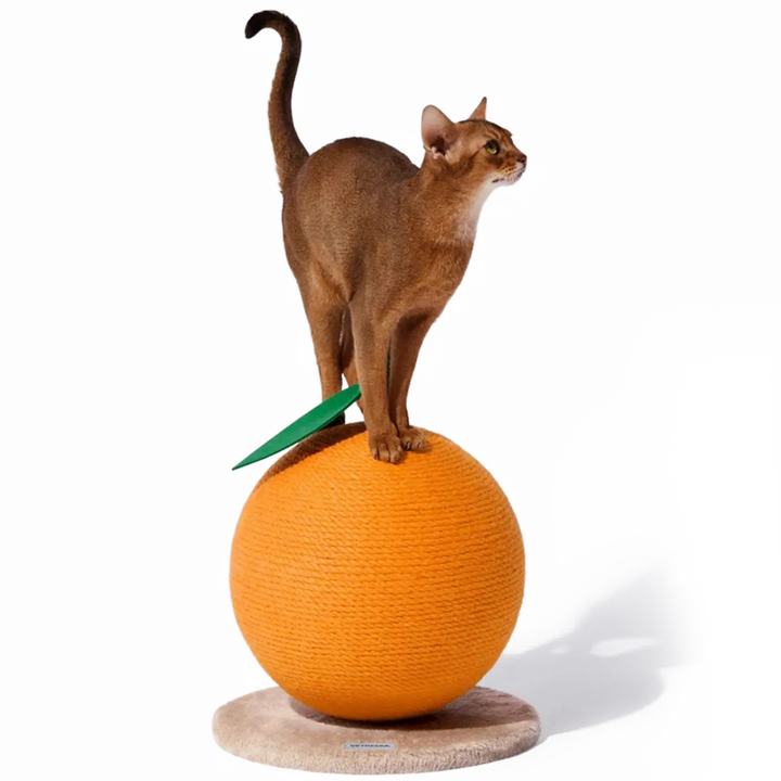 Arranhador para Gatos - Vetreska Tangerine