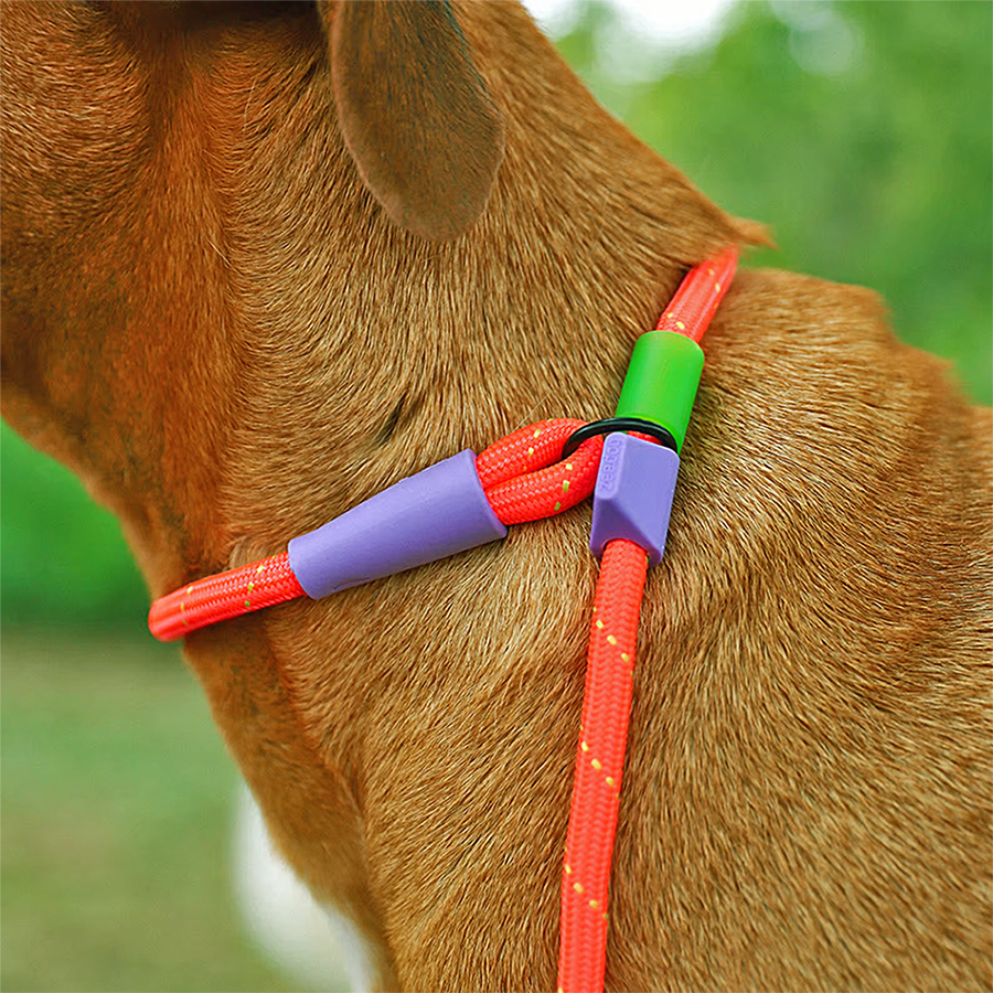 Guia Unificada Zee Dog Para Cães Slip N Lock Leash Everest