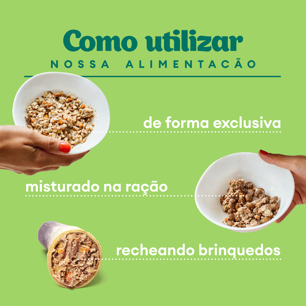 Ração Úmida Natural Cães Pet Delícia Carreteiro Suíno 320g