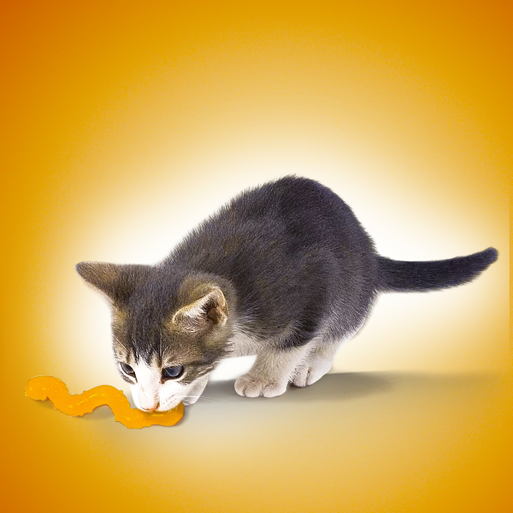 Brinquedo para Gatos com Catnip Orkakat Wiggle Worm - Petstages