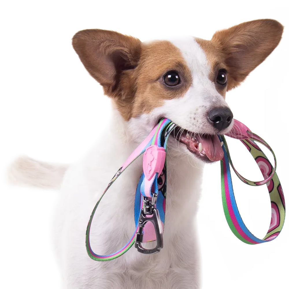 Guia Tradicional FreeFaro para Cães Meninas Superpoderosas - Tam. M