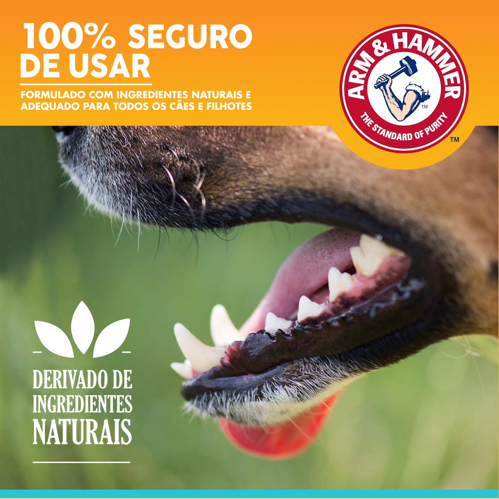 Kit Dental Arm & Hammer Clareador Para Cães Charcoal Bright Sabor Menta