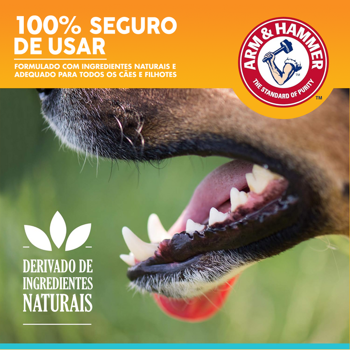Kit Dental Arm & Hammer Clareador Para Cães Charcoal Bright Sabor Menta