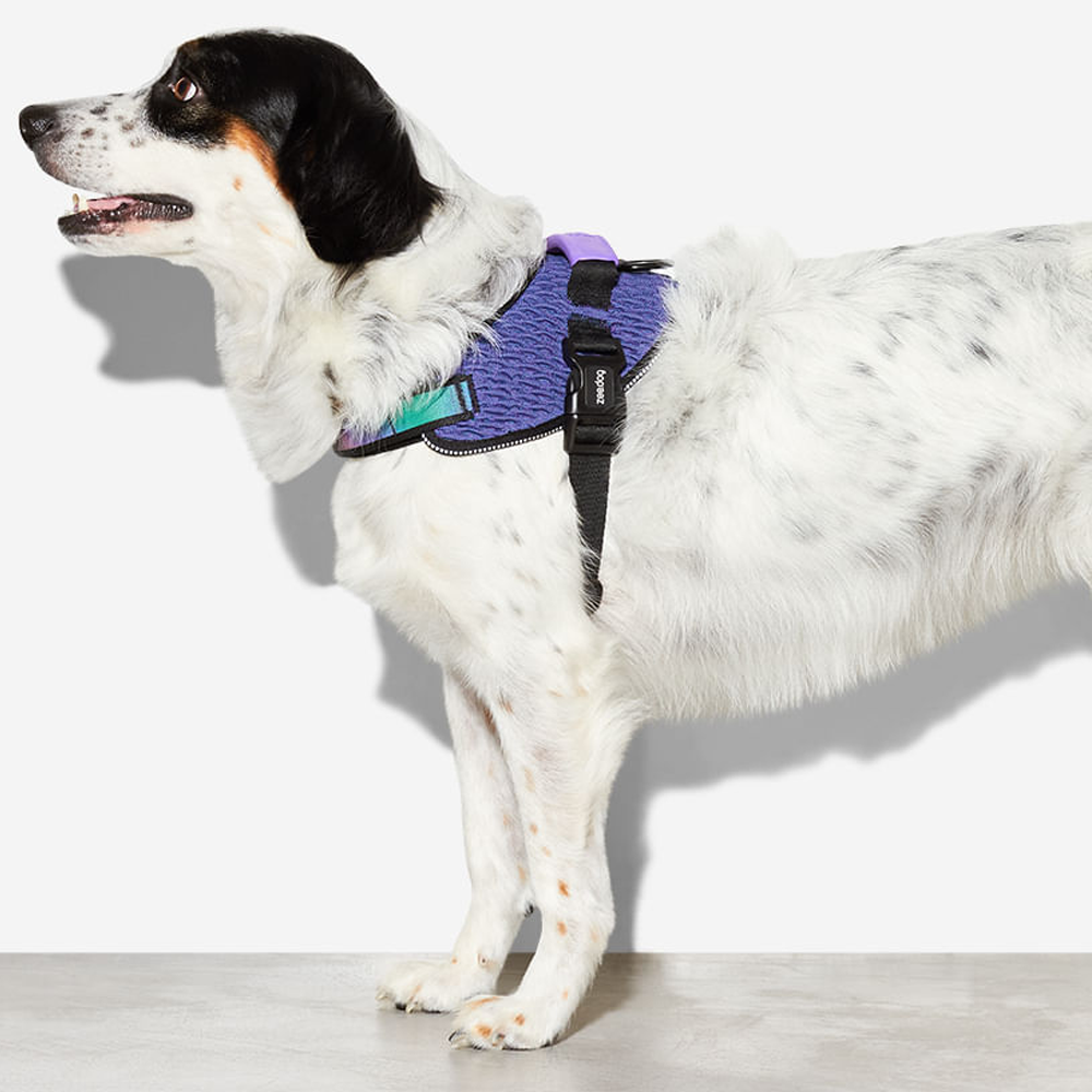 Peitoral para Cães Zee.Dog Fly Harness Wicked - Tam 4