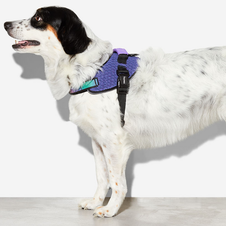 Peitoral para Cães Zee.Dog Fly Harness Wicked - Tam 4