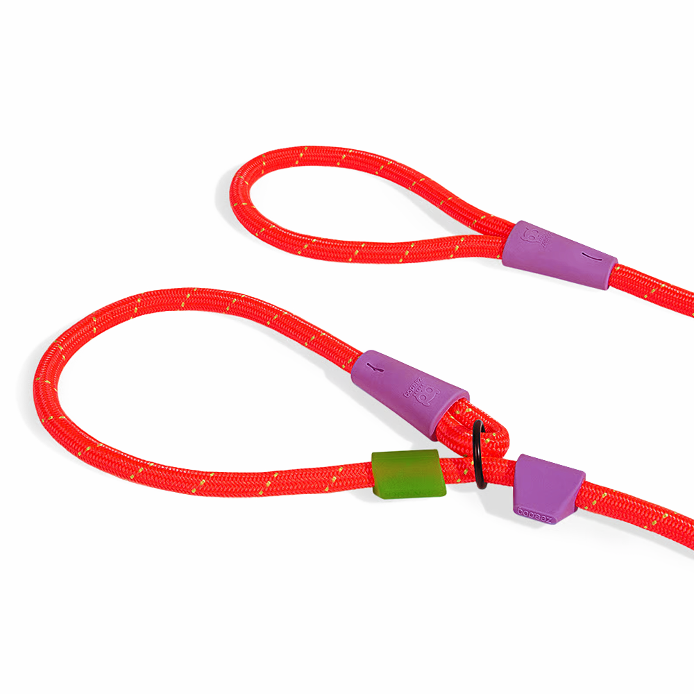 Guia Unificada Zee Dog Para Cães Slip N Lock Leash Everest