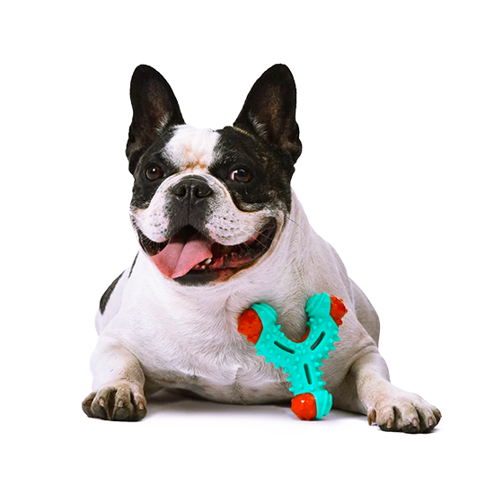 Mordedor Dental Para Cachorros - NUBBIES WISHBONE