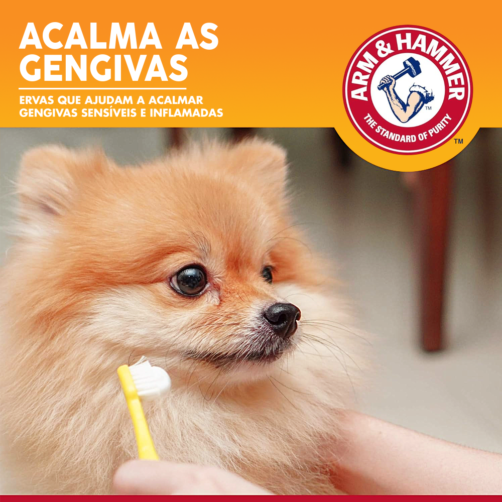 Pasta De Dentes Enzimática Para Cães Arm & Hammer Sabor Frango