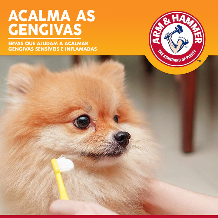 Pasta De Dentes Enzimática Para Cães Arm & Hammer Sabor Frango