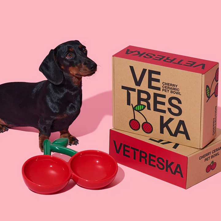 Comedouro de Cerâmica Modelo Cereja para Pets - Vetreska