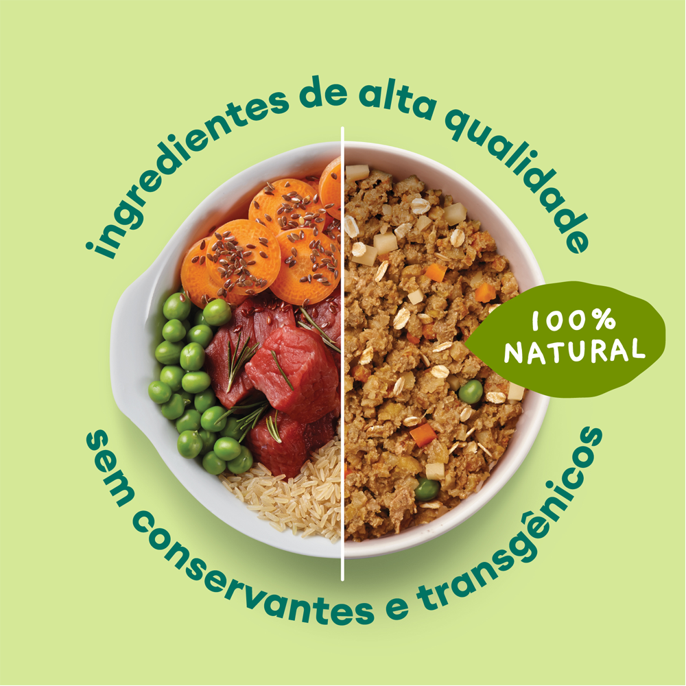 Ração Úmida Natural Cães Pet Delícia Carreteiro Suíno 320g