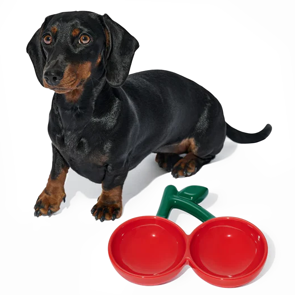 Comedouro de Cerâmica Modelo Cereja para Pets - Vetreska
