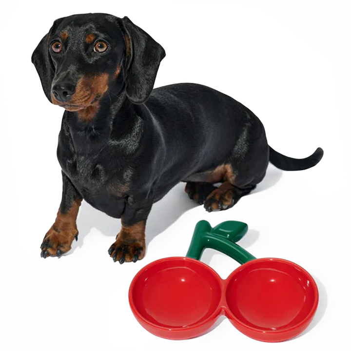 Comedouro de Cerâmica Modelo Cereja para Pets - Vetreska