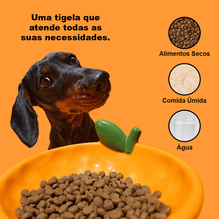 Comedouro de Cerâmica Modelo Tangerinne para Pets - Vetreska