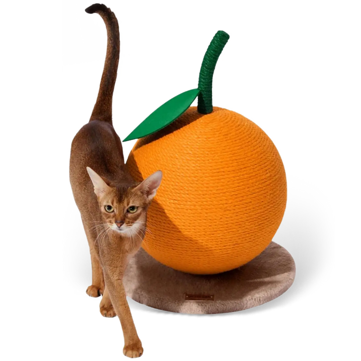Arranhador para Gatos - Vetreska Tangerine