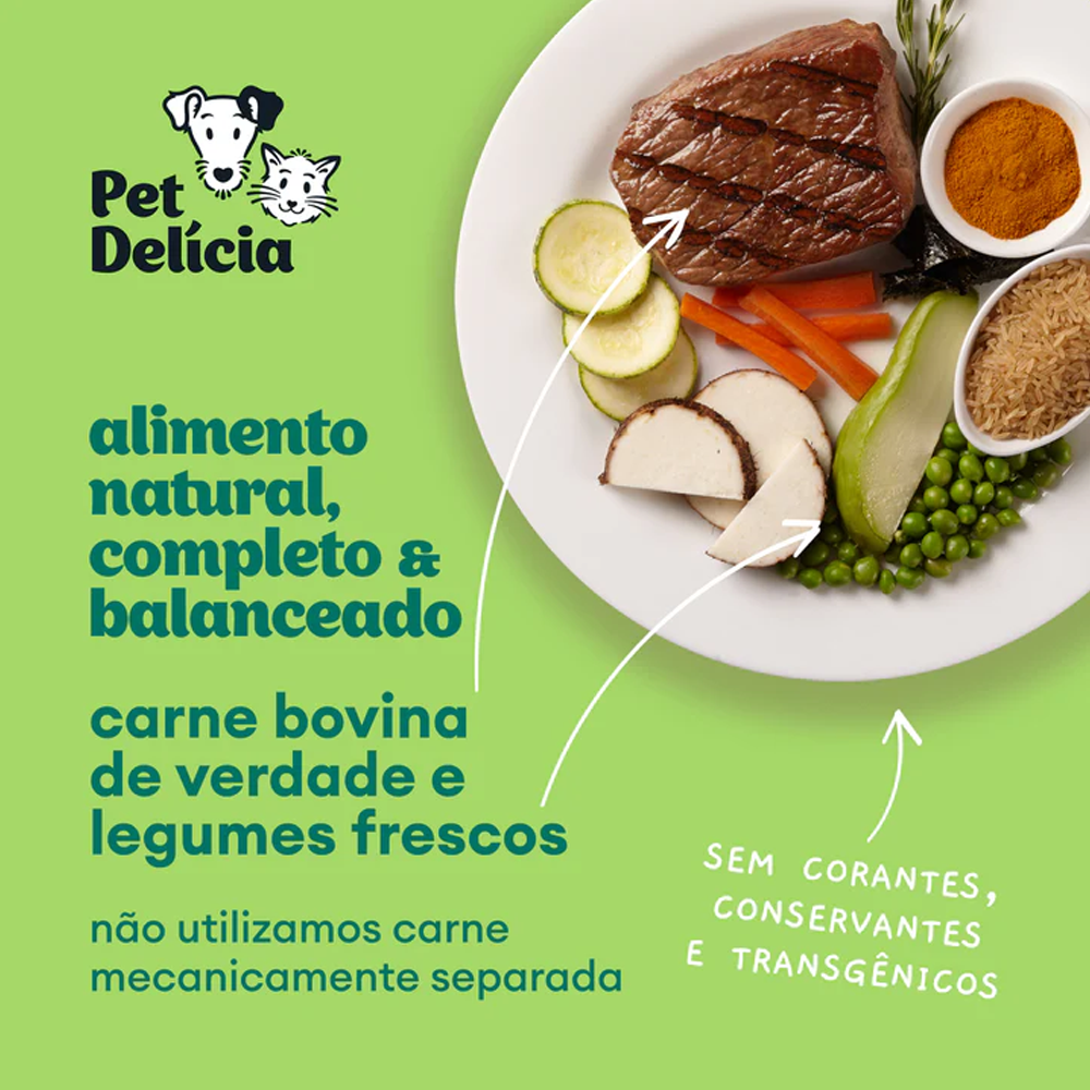 Ração Úmida Natural Para Cães Pet Delícia Panelinha de Carne 320g