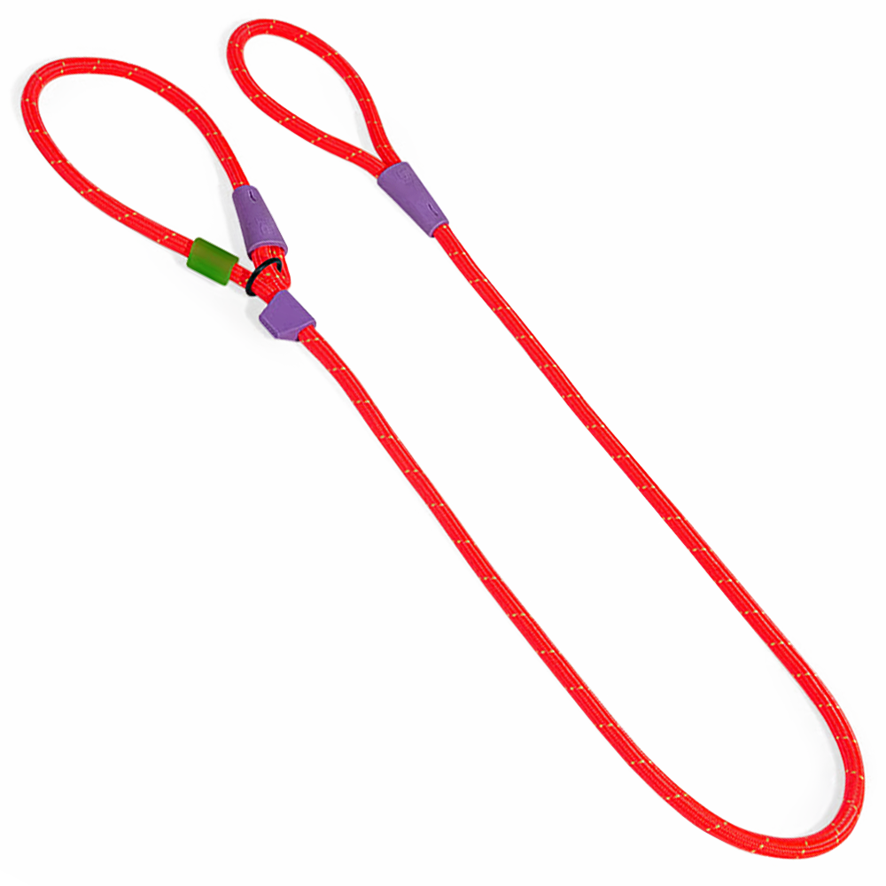 Guia Unificada Zee Dog Para Cães Slip N Lock Leash Everest