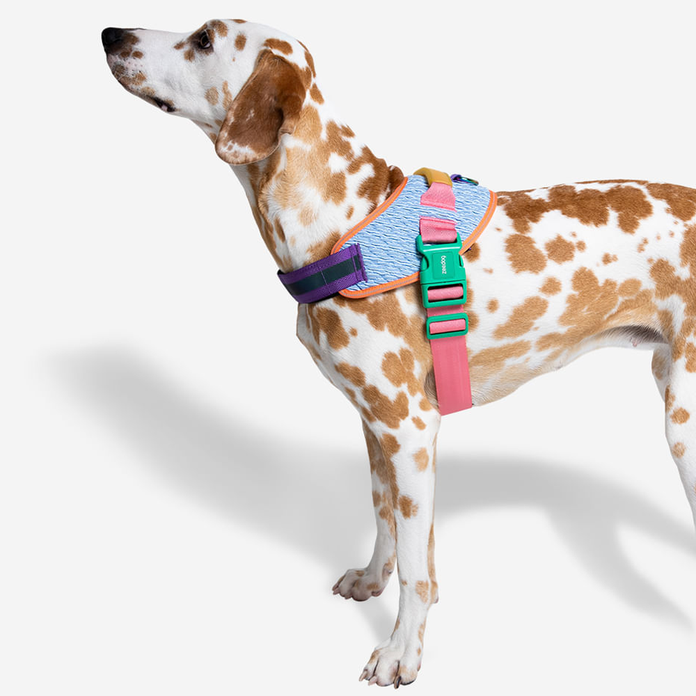 Peitoral para Cães Zee.Dog Fly Harness Galaxy - Tam 5