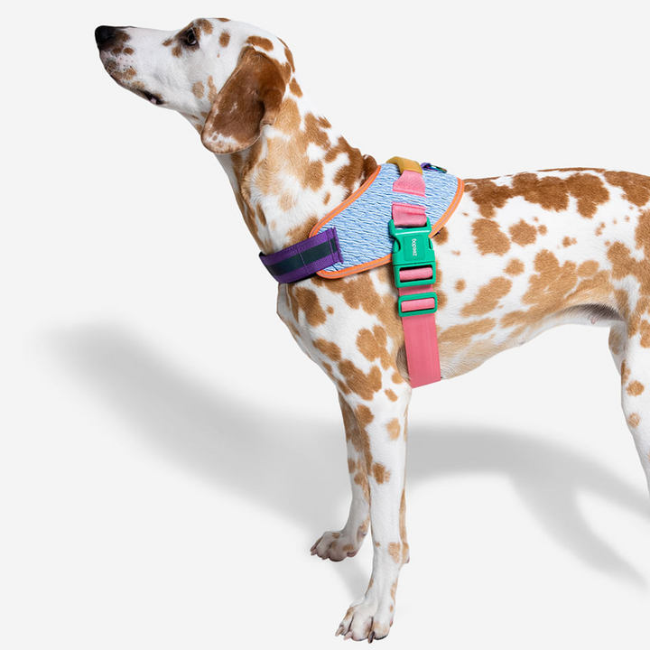 Peitoral para Cães Zee.Dog Fly Harness Galaxy - Tam 5