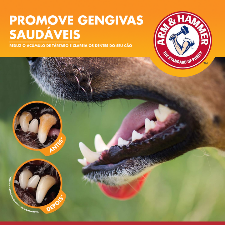Pasta De Dentes Enzimática Para Cães Arm & Hammer Sabor Frango