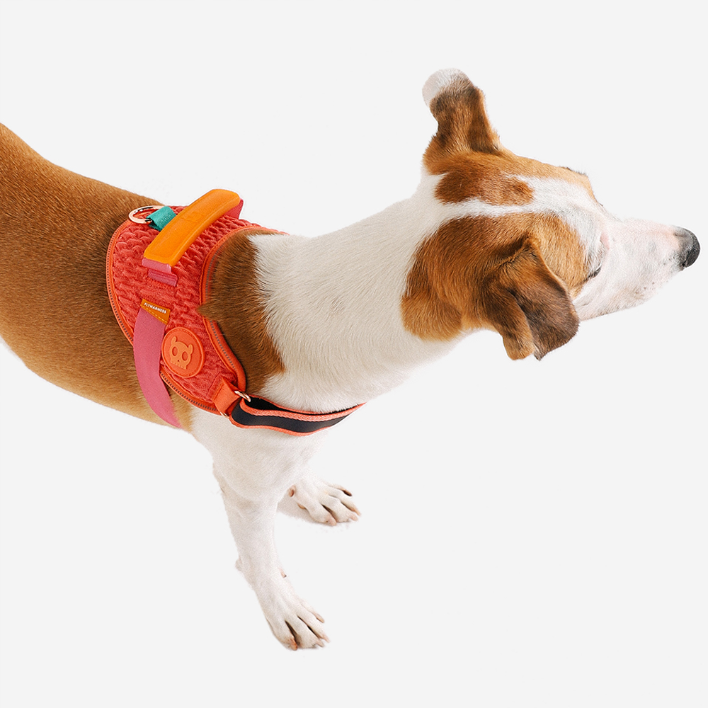 Peitoral para Cães Zee.Dog Fly Harness Gazelle - Tam 3