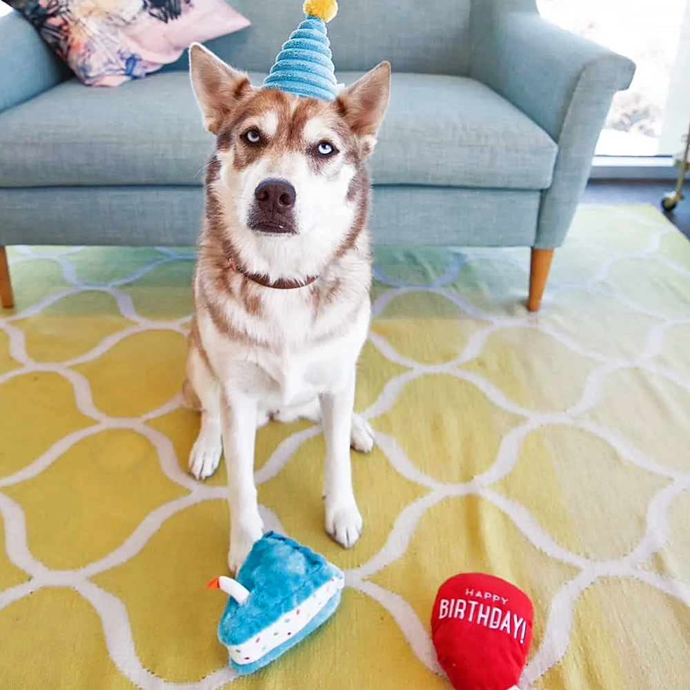 Pelúcia Pup Birthday Box cor Azul - Zippy Paws