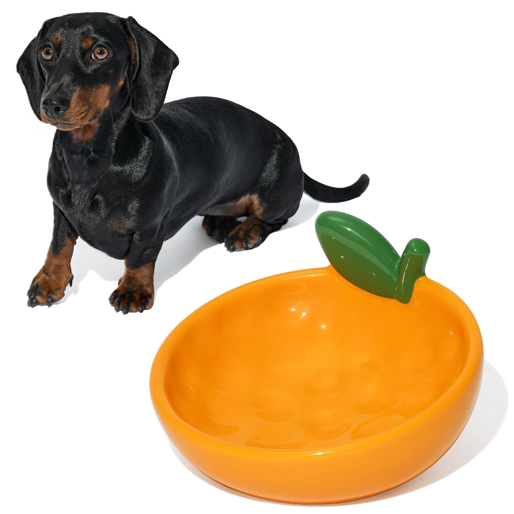 Comedouro de Cerâmica Modelo Tangerinne para Pets - Vetreska