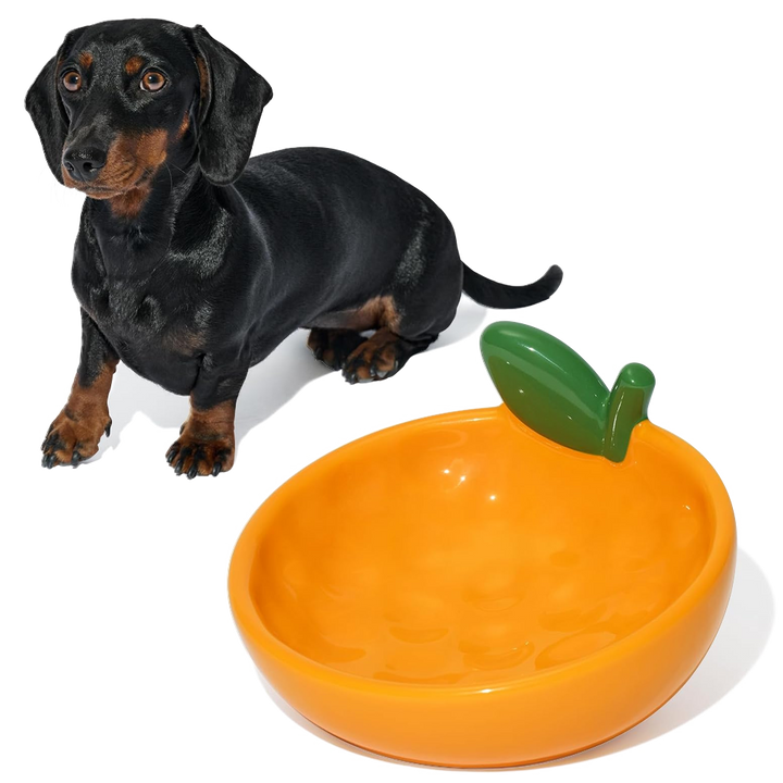 Comedouro de Cerâmica Modelo Tangerinne para Pets - Vetreska