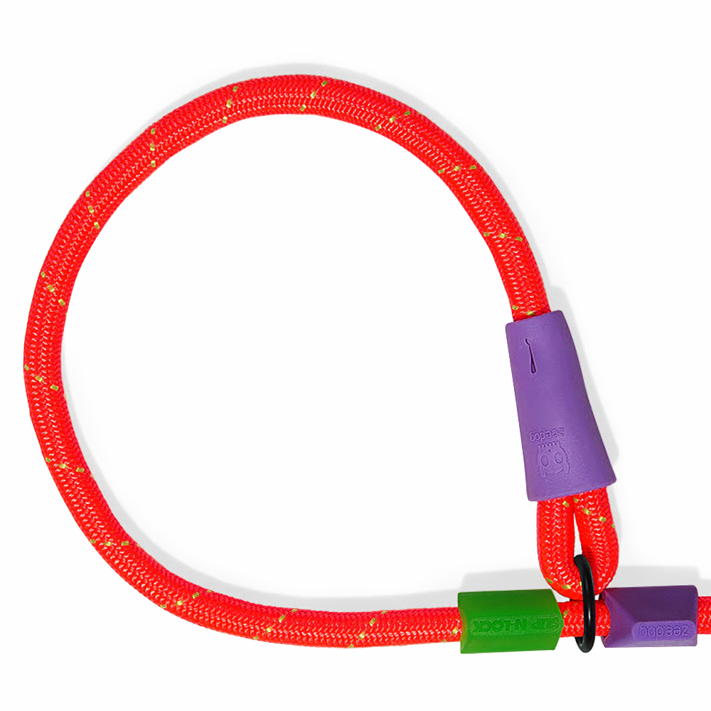 Guia Unificada Zee Dog Para Cães Slip N Lock Leash Everest