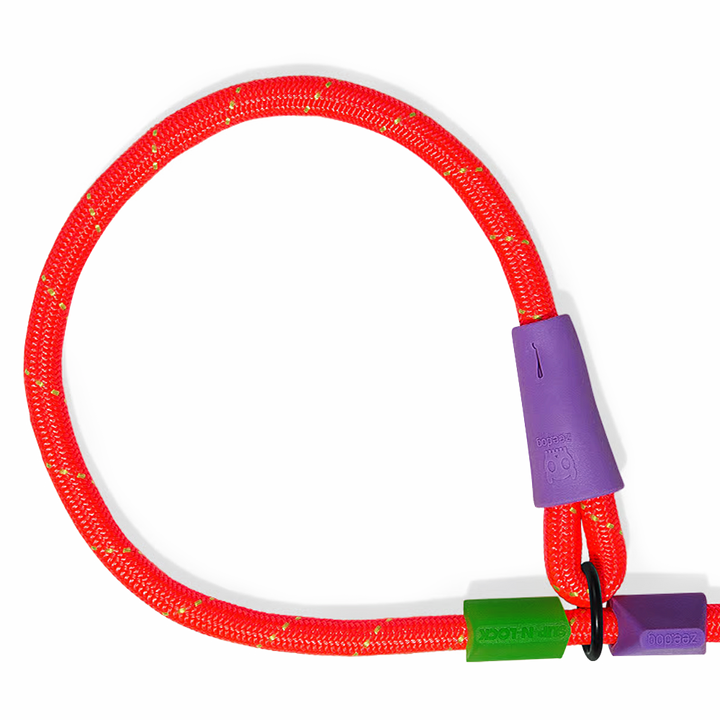 Guia Unificada Zee Dog Para Cães Slip N Lock Leash Everest