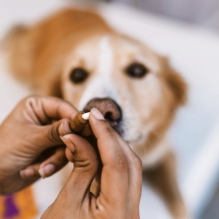 Petisco Moldável Porta Remédio Medsnack Sabor Carne para Cães - 15 unid.