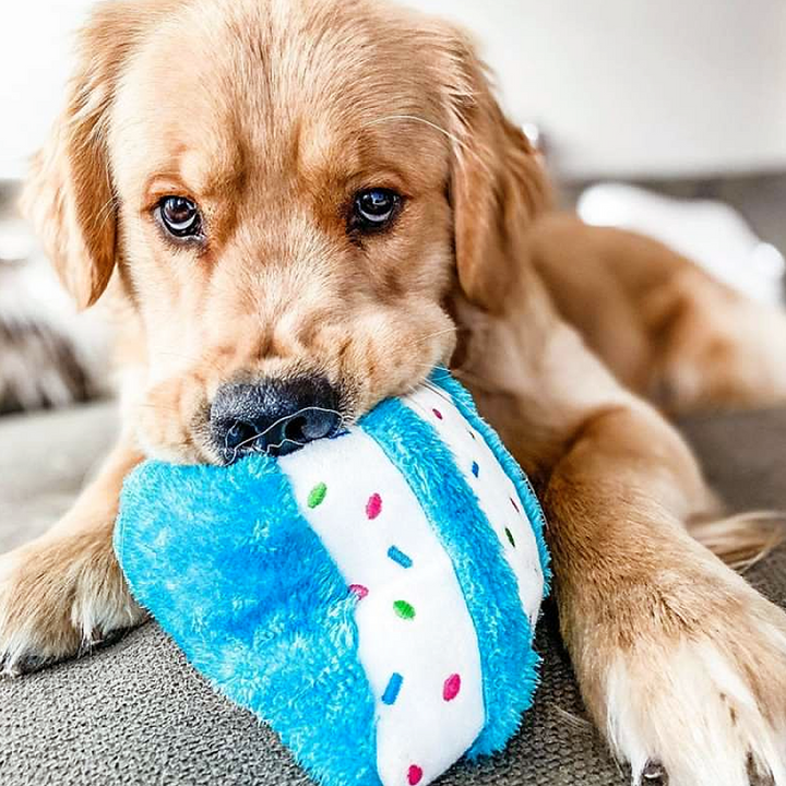 Pelúcia Pup Birthday Box cor Azul - Zippy Paws