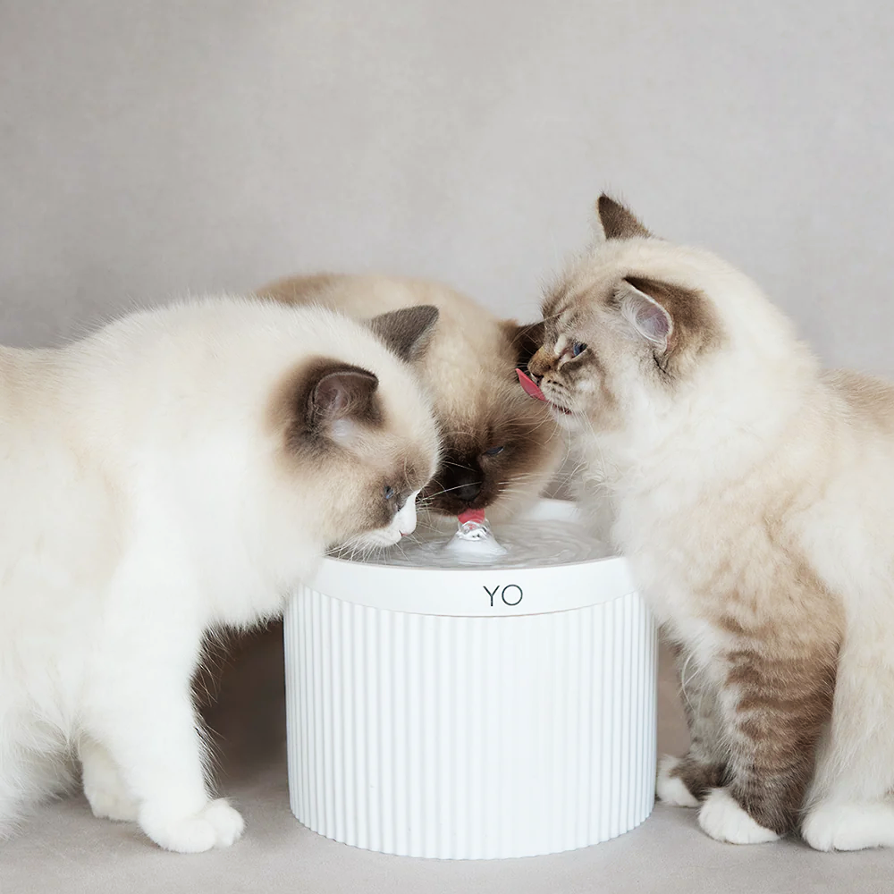 Filtro Quádruplo com Carvão Ativado - Bebedouro Para Gatos YO (6 unid.)