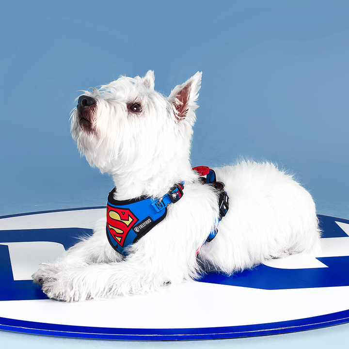 PEITORAL AIR SUPERMAN - SUPERMAN - P