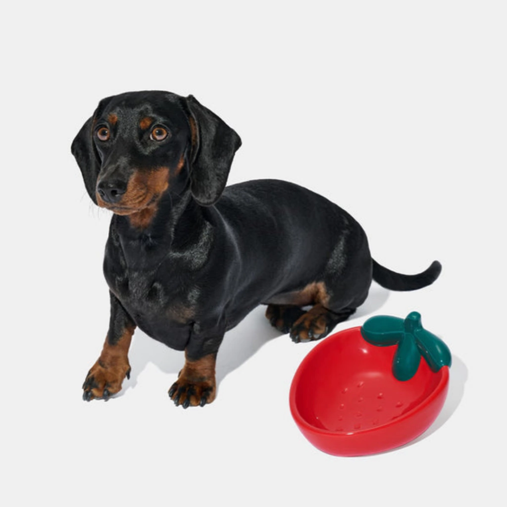 Comedouro de Cerâmica Modelo Morango para Pets - Vetreska