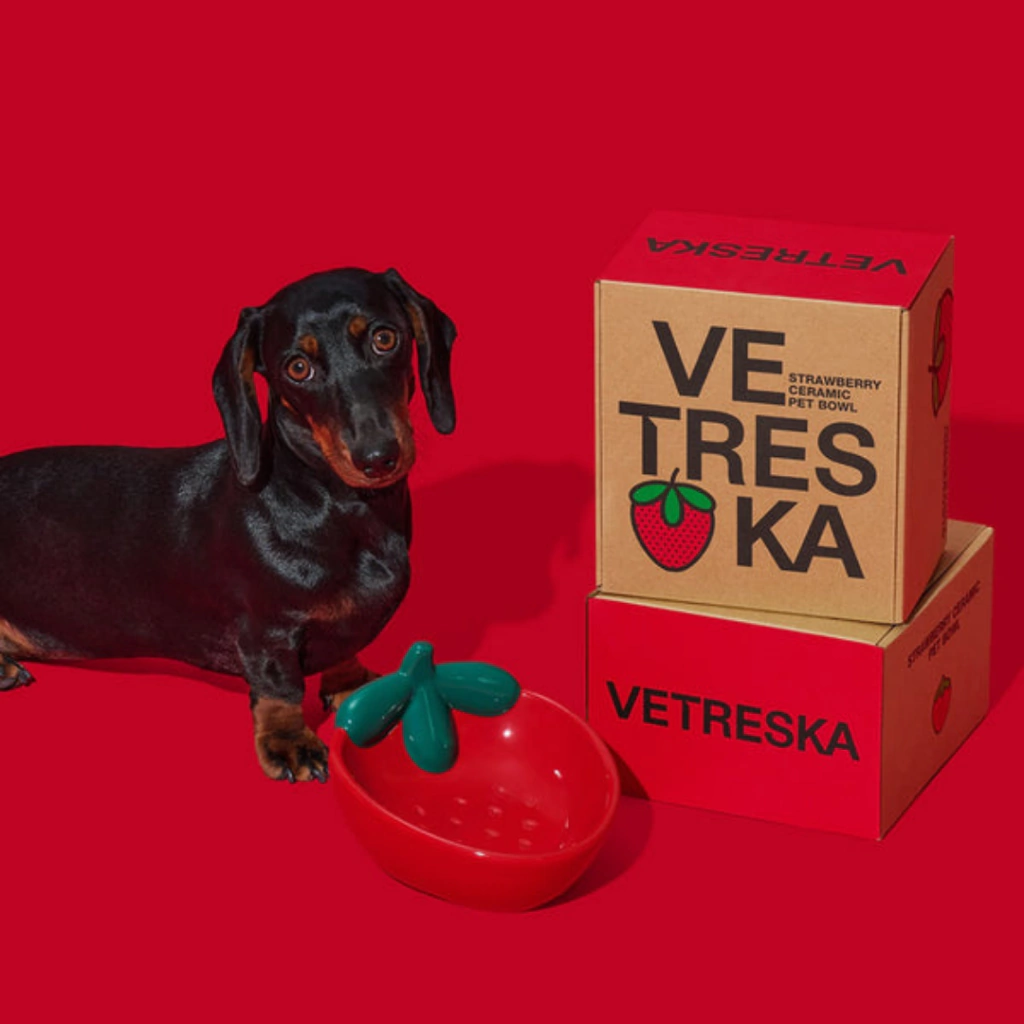 Comedouro de Cerâmica Modelo Morango para Pets - Vetreska