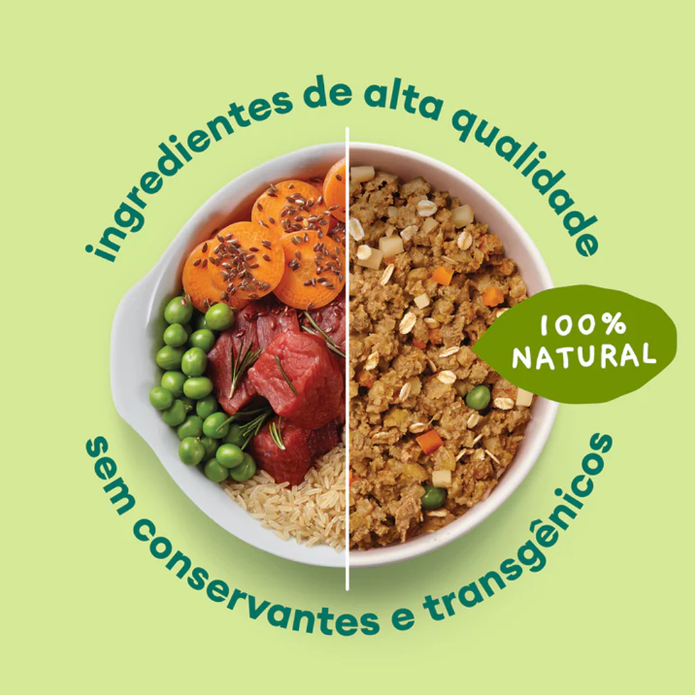 Ração Úmida Natural para Gatos Pet Delícia Picadinho de Carne 320g