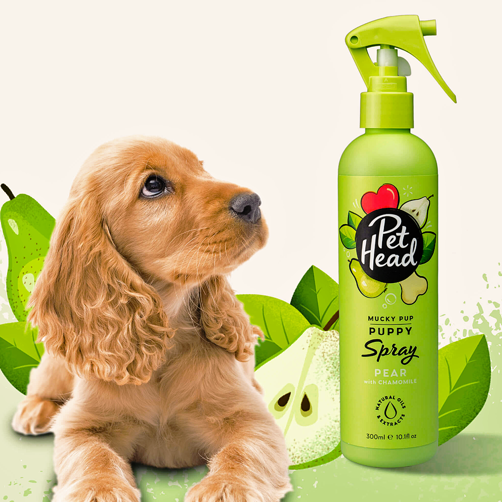 Pet Head Mucky Puppy Spray Banho a Seco para Filhotes